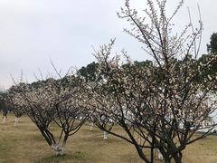 -东钱湖小普陀景区