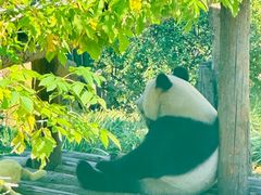 -大连森林动物园