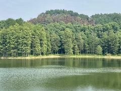 -青龙山国家森林公园
