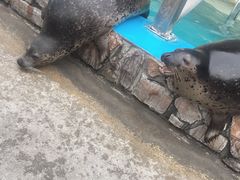 -泉城欧乐堡海洋极地世界