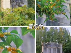 -鸡鸣寺