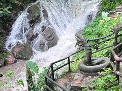 -莫里热带雨林景区