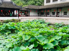 -上海醉白池公园