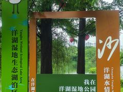 -洋湖国家湿地公园