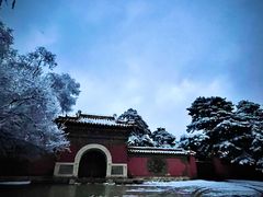 -北陵公园