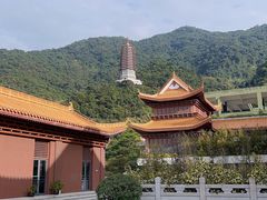 -深圳仙湖植物园