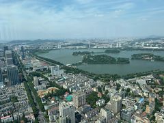 -紫峰大厦