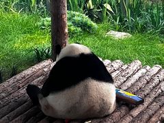 -大连森林动物园