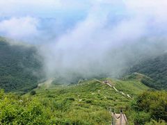 -灵山