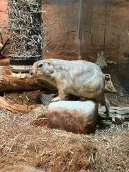 -Zoolung Zoolung动物主题公园(海信广场店)