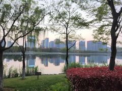 -尚贤河湿地