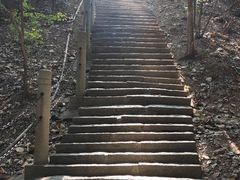 -水濂山森林公园