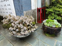 -寂照庵