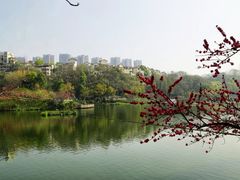 -重庆彩云湖湿地公园