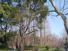 -中山公园