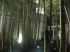 -穹六人间 people 6(岳阳路店)