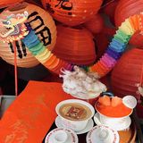 在江门！！竹排街！好懂浪漫的☕️咖啡shop…
