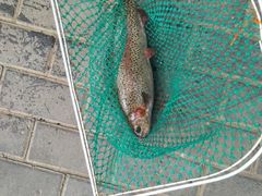 -俺家菜馆(百里峡店)