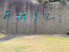 -荷塘月色湿地公园·向阳花洲