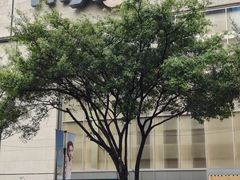 -深圳万象城