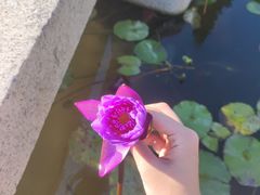 -航海家主题铁板烧(凤凰城店)
