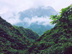 -太平万花山景区