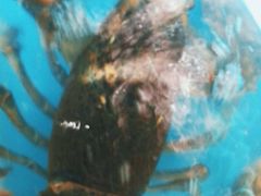 -王大厨·海鲜·家常菜