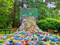 -上海共青森林公园