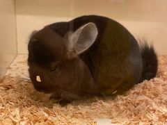 -龙猫仔乐园(惠福东路店)