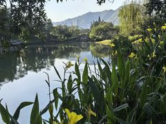-四海公园(南山区)