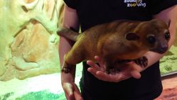 -Zoolung Zoolung动物主题公园(海信广场店)