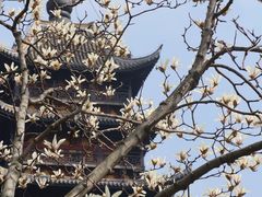 -常熟方塔园