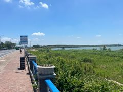 -合肥滨湖国家森林公园