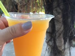 -白沙门生态公园