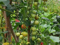 -上海佘山国家森林公园天马山园