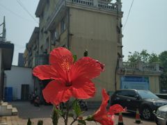 -蟹谢蒸鲜自助餐厅