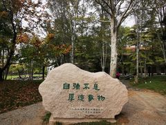 -清华大学-观畴园餐厅
