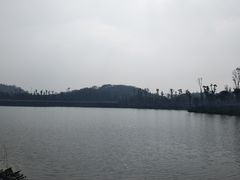 -枫香湖儿童公园