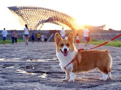 -南汇嘴观海公园