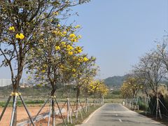 -光明小镇欢乐田园