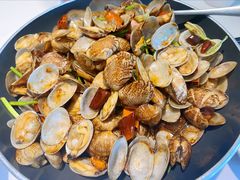 辣炒红岛花蛤-开海·红岛海鲜虾水饺(石老人店)
