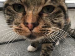 -UNI UNI(环亚凯瑟琳店)