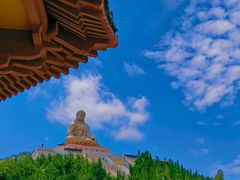 -龙口南山旅游景区