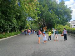 -金鸡山公园