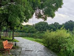 -东莞植物园