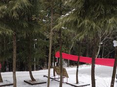 -武陵山森林公园