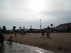 -碧海金沙