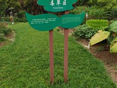 -广西壮族自治区药用植物园