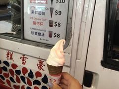 -富豪雪糕车流动点(尖沙咀店)