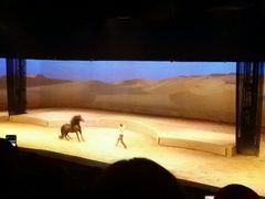 -cavalia·舞马